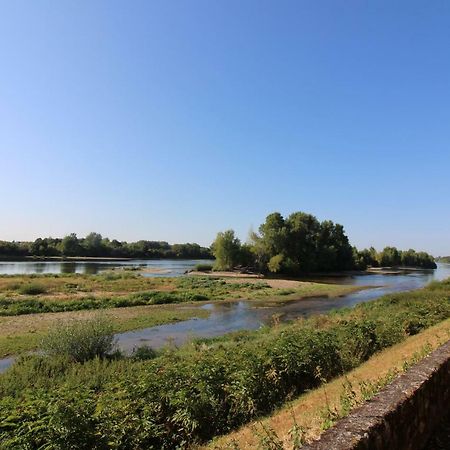 Gite Au Coeur Des Chateaux De La Loire Cour-sur-Loire Buitenkant foto