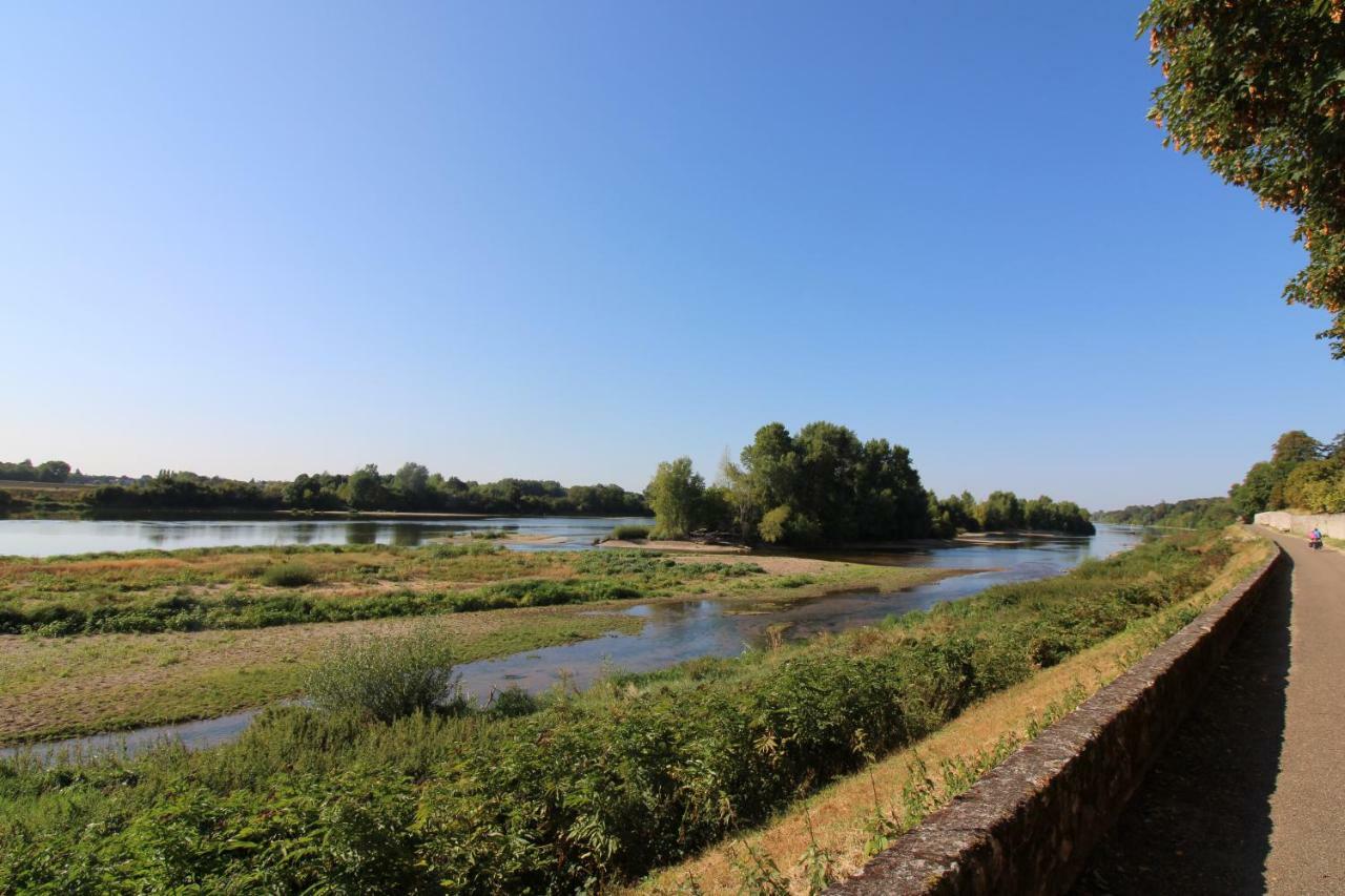 Gite Au Coeur Des Chateaux De La Loire Cour-sur-Loire Buitenkant foto