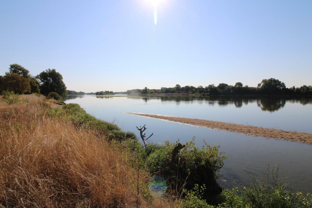 Gite Au Coeur Des Chateaux De La Loire Cour-sur-Loire Buitenkant foto